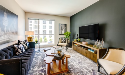 Studio, 1, 2, and 3-Bedroom Luxury Apartments Cover Image
